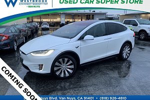 Tesla Model X Performance (VIN: 5YJXCAE44LF236096)