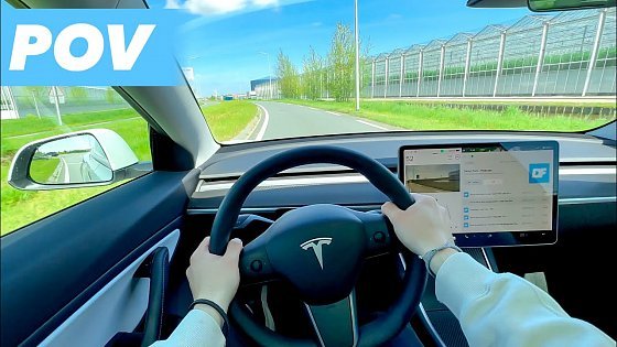 Video: Tesla Model 3 Performance POV Review | Still Insanely Fast!!