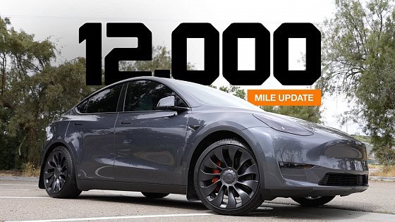 Video: 12,000 MILE UPDATE - Tesla Model Y Performance