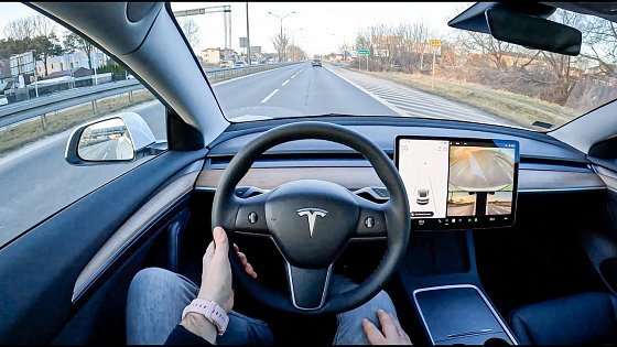 Video: 2022 Tesla Model 3 Long Range [Dual Motor 490HP] |0-100 | POV Test Drive #1112 Joe Black