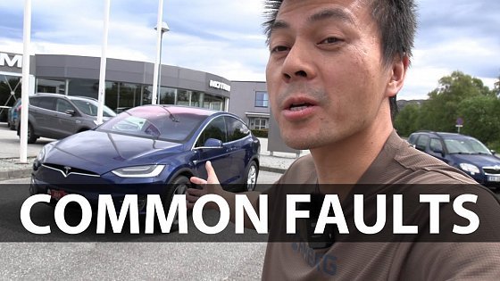 Video: Inspecting Model X 100D with 100k km