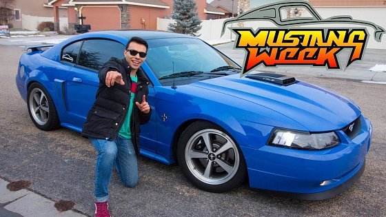 Video: Why 2018 Is THE YEAR For Me And The Mach 1