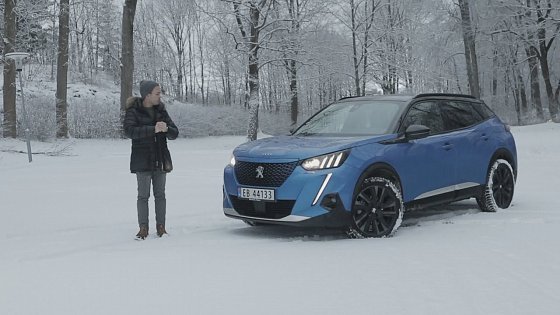 Video: DON´T BUY a Peugeot E 2008 Before Watching This!