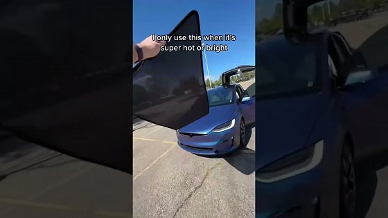 Video: Every Model X should come standard with these sunshades!