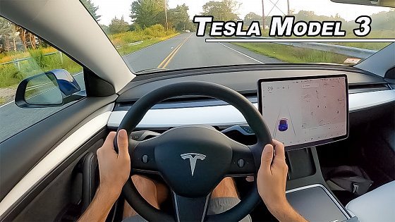 Video: Before You Buy a Tesla - Could you Live with The Model 3 Performance? (POV Binaural Audio)