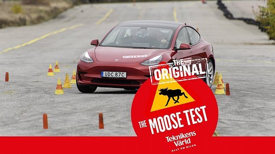 Video: Moose test of the week: Tesla Model 3 Standard Range